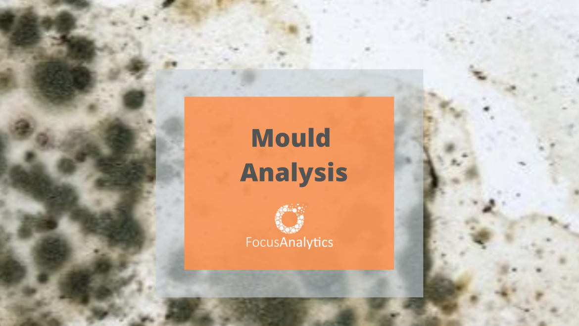 Mould Analysis