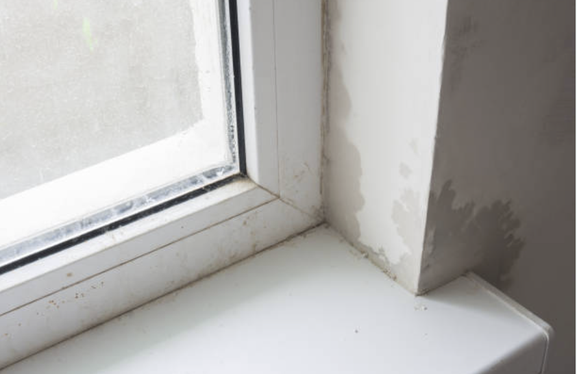 Compensation for tenant who paid $730 a week for a damp, leaking rental.
