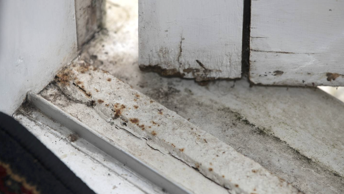 New Zealand has a serious problem: Students shivering in cold, damp, mouldy homes